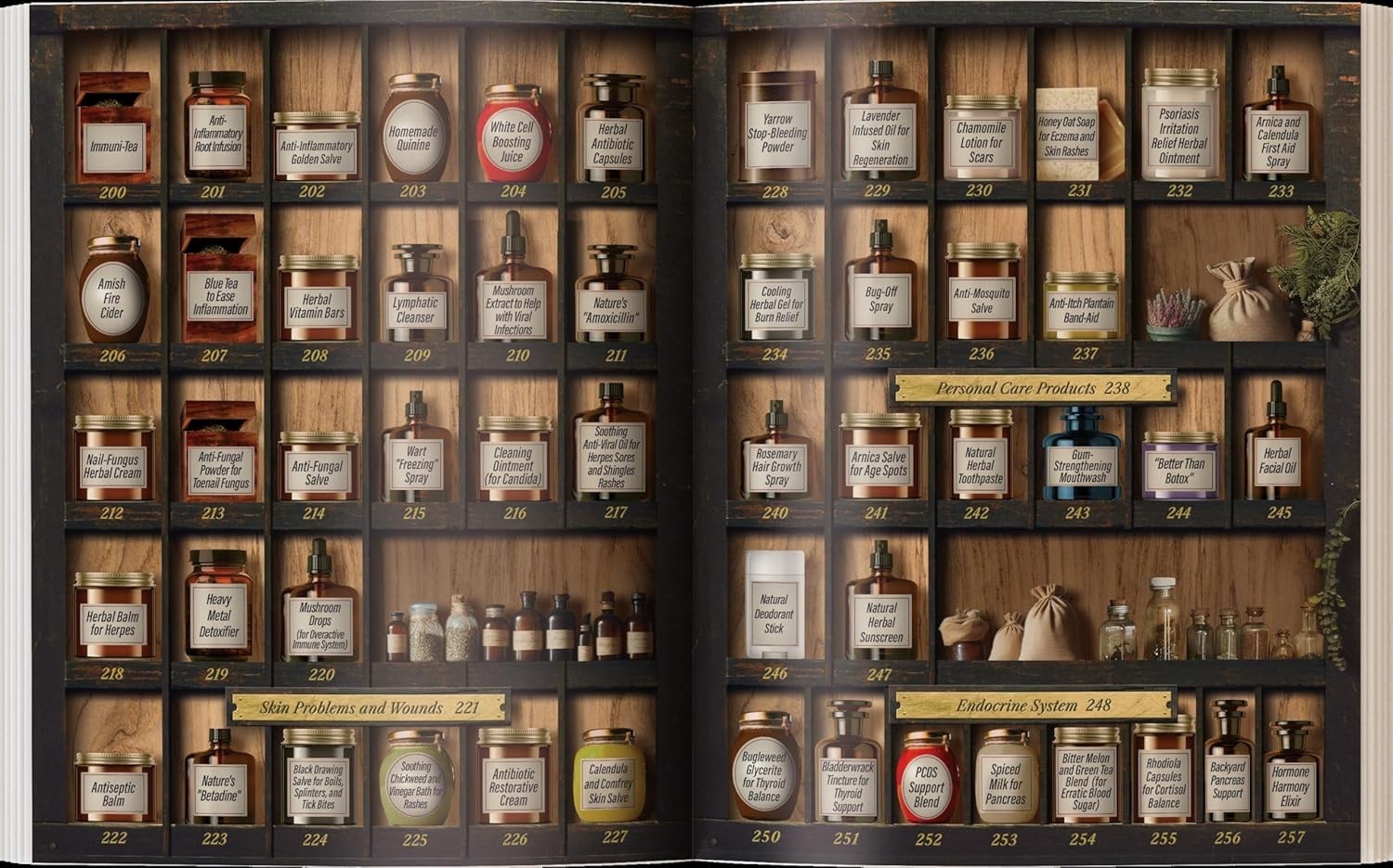 Forgotten Home Apothecary (paperback with color pictures)